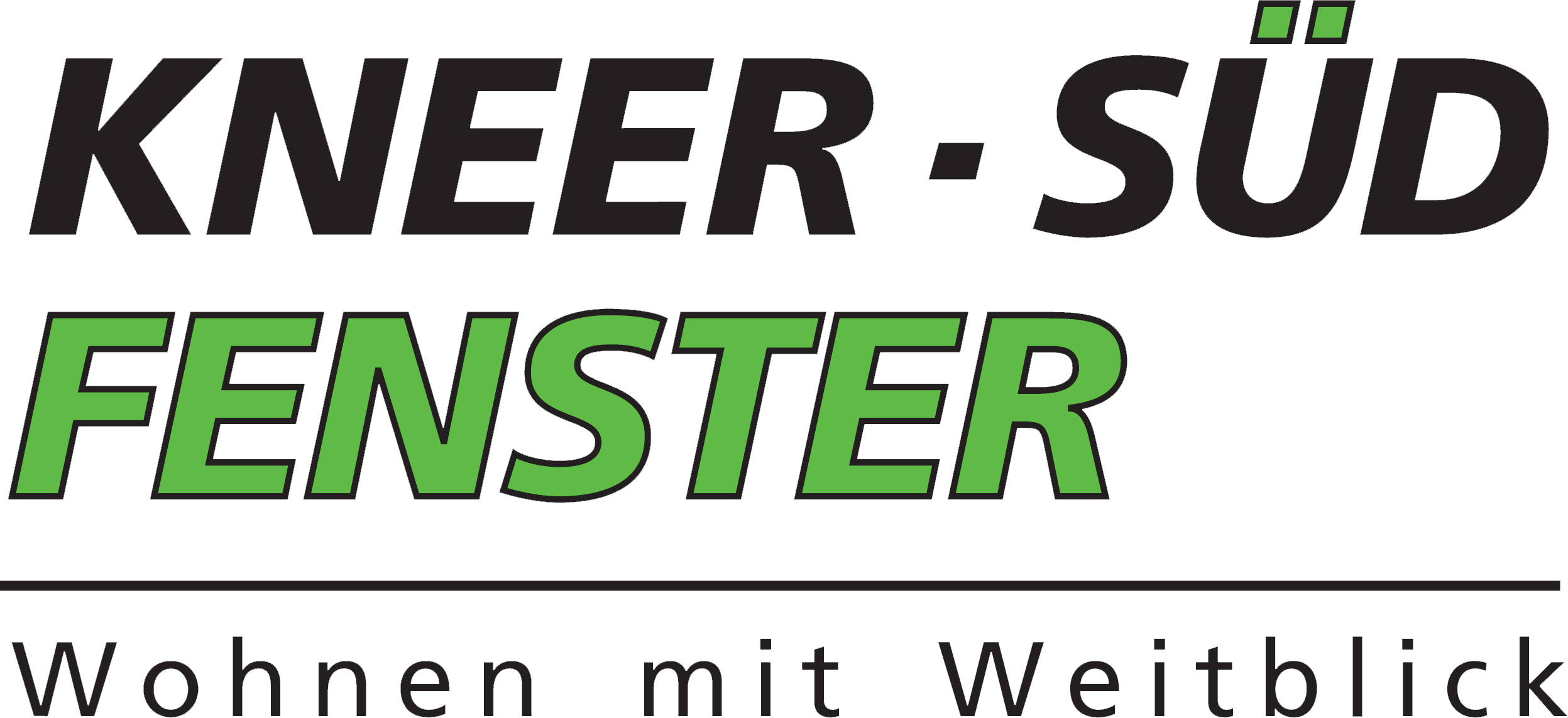 kneer-2016